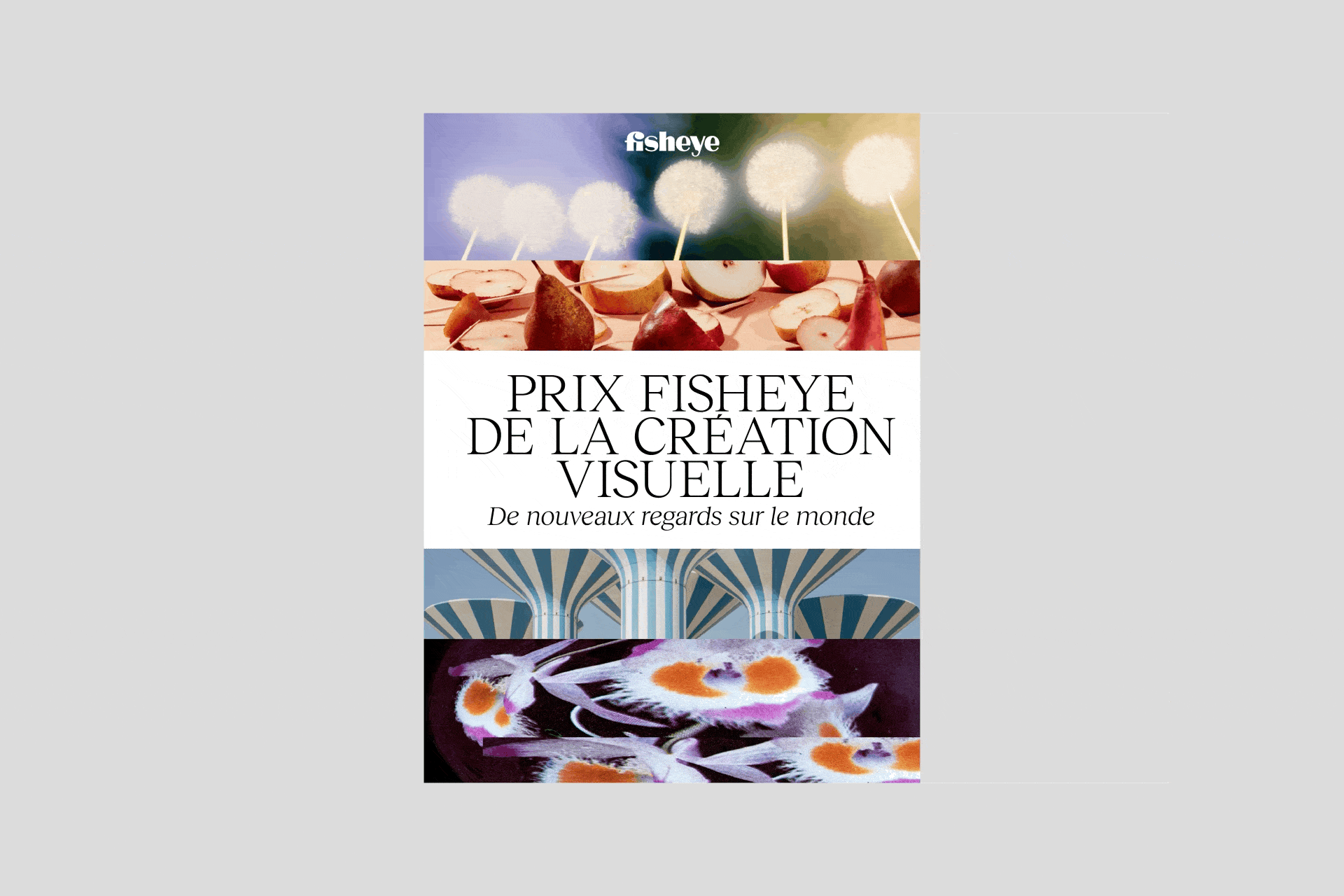 Fisheye — animation