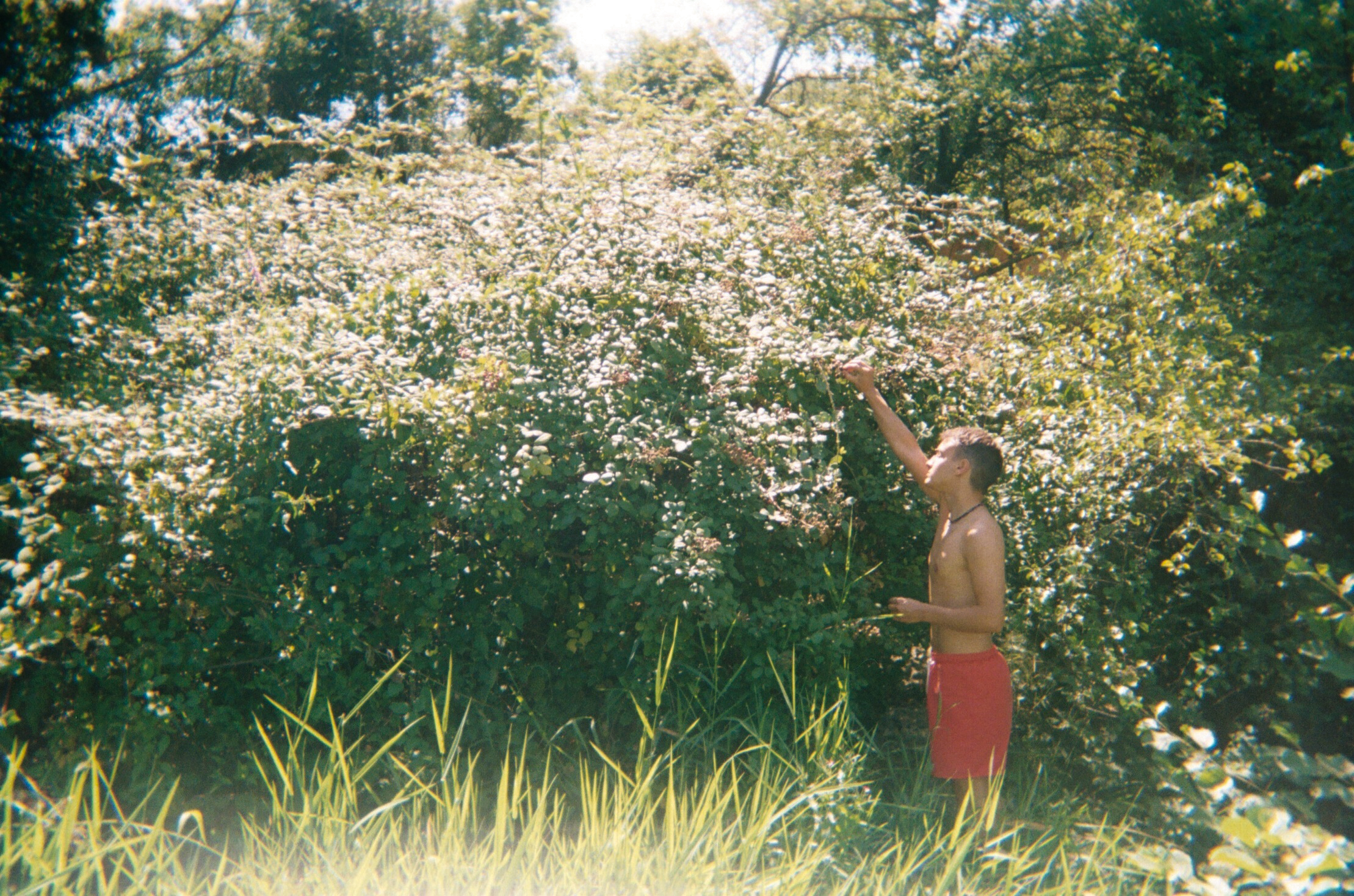 Scan 026