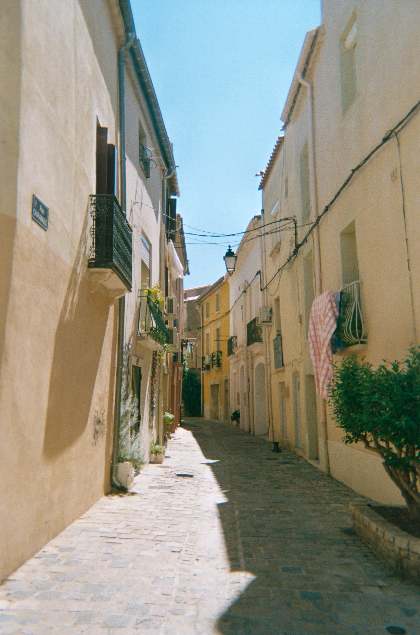 Scan 027