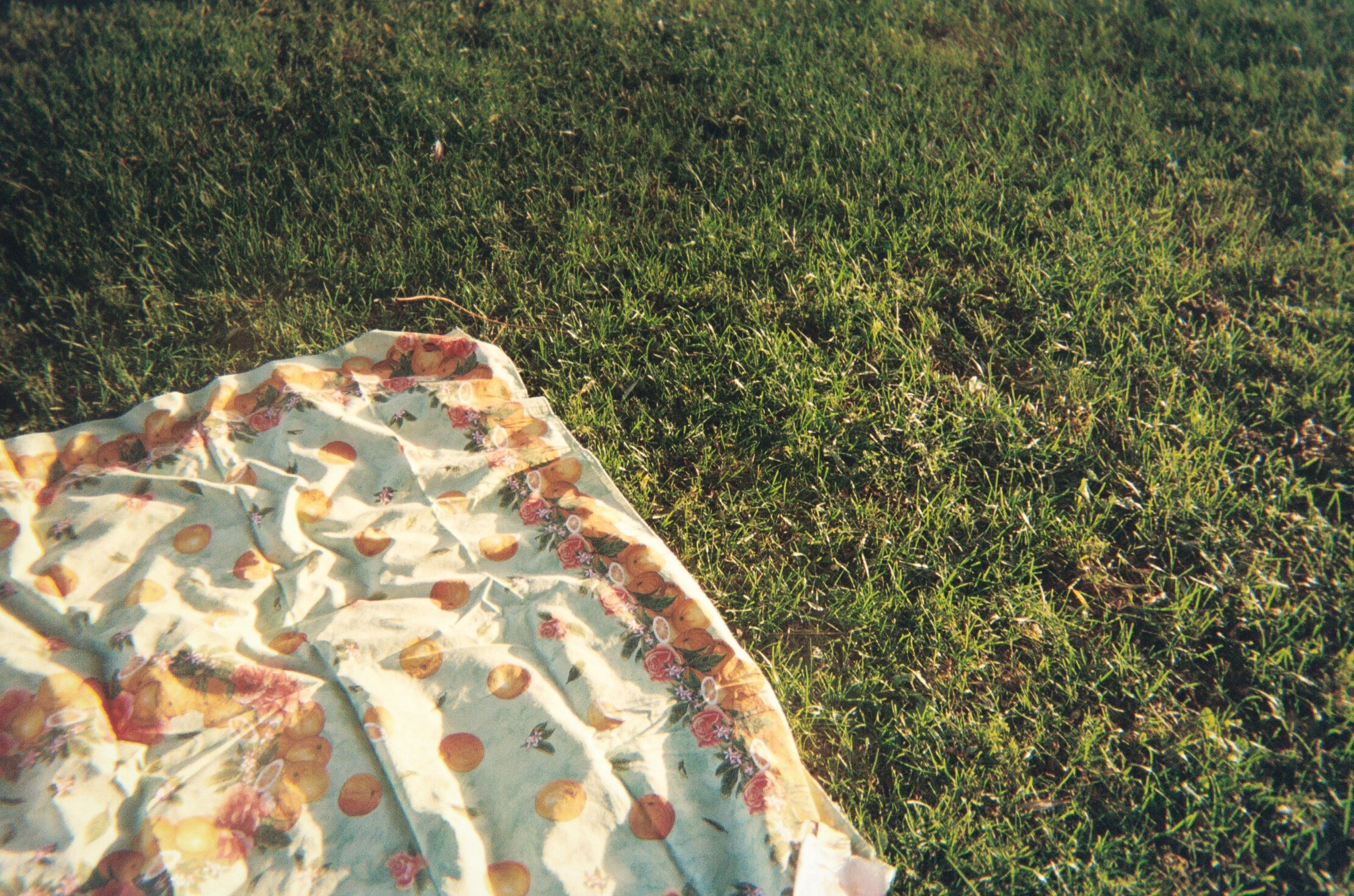 Scan 031