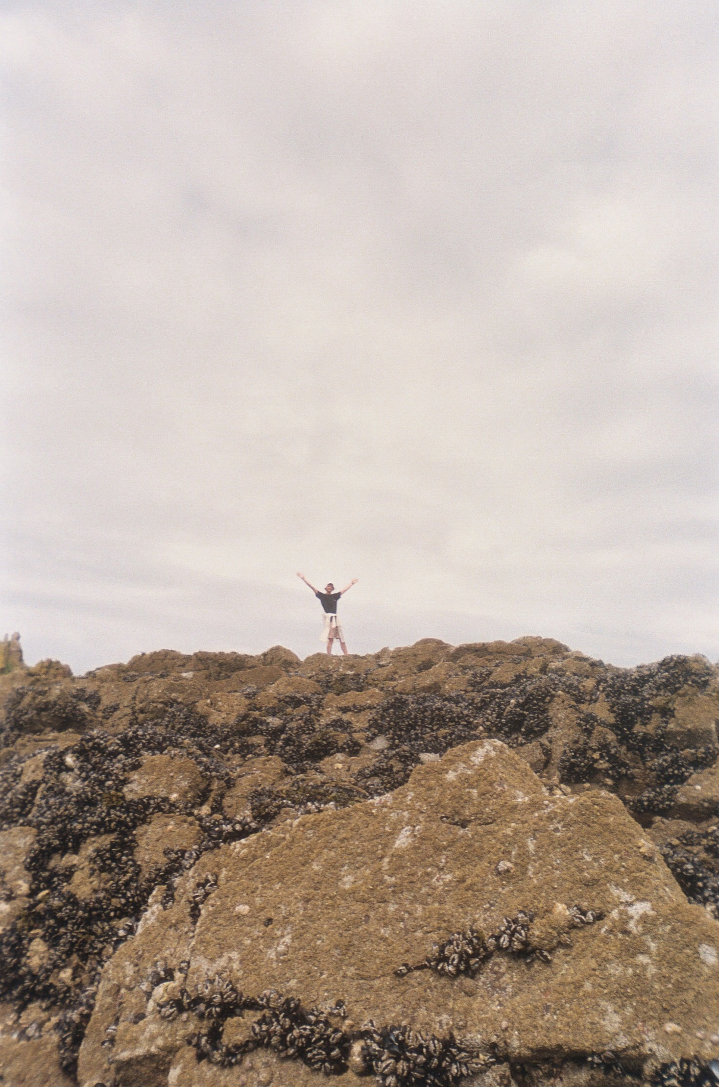Scan 033