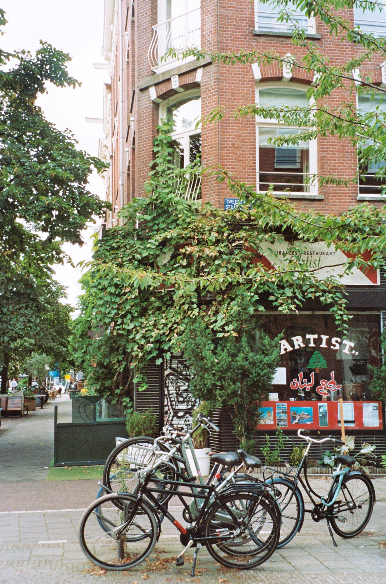 Scan 038
